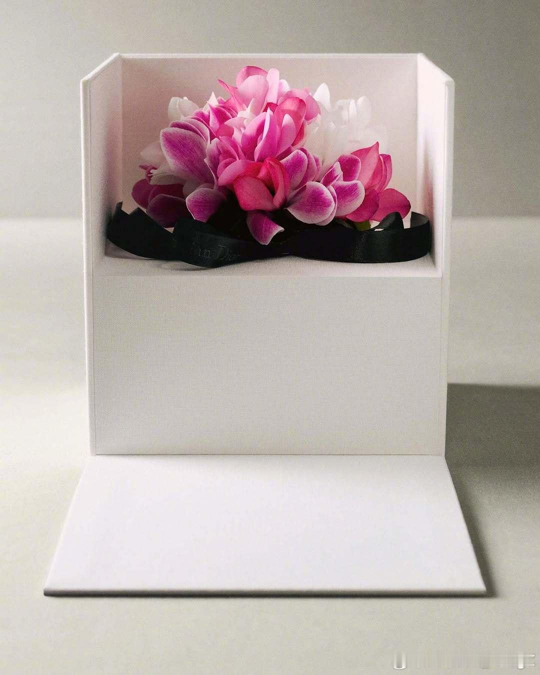 Jonathan Anderson 为 Dior 打造的首个高级订制系列，将于下