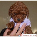 蔓玩玩美女