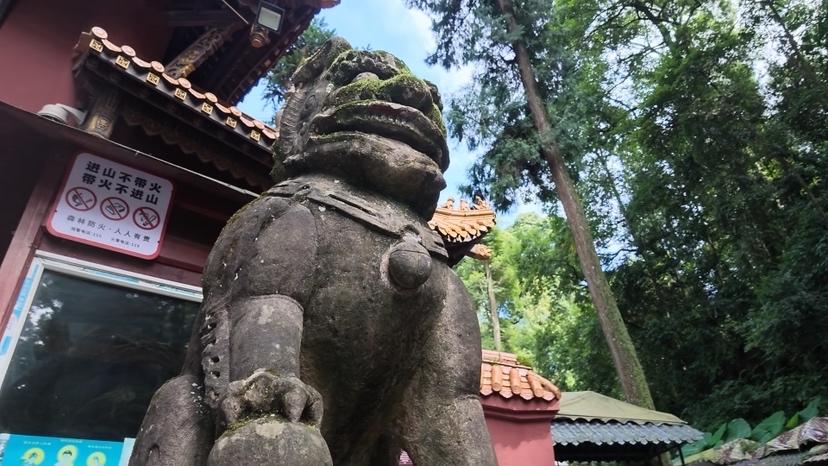 庙门口那对石头狮子，一公一母，你分得清吗
 你注意到了吗？出去旅游，特别是有庙、