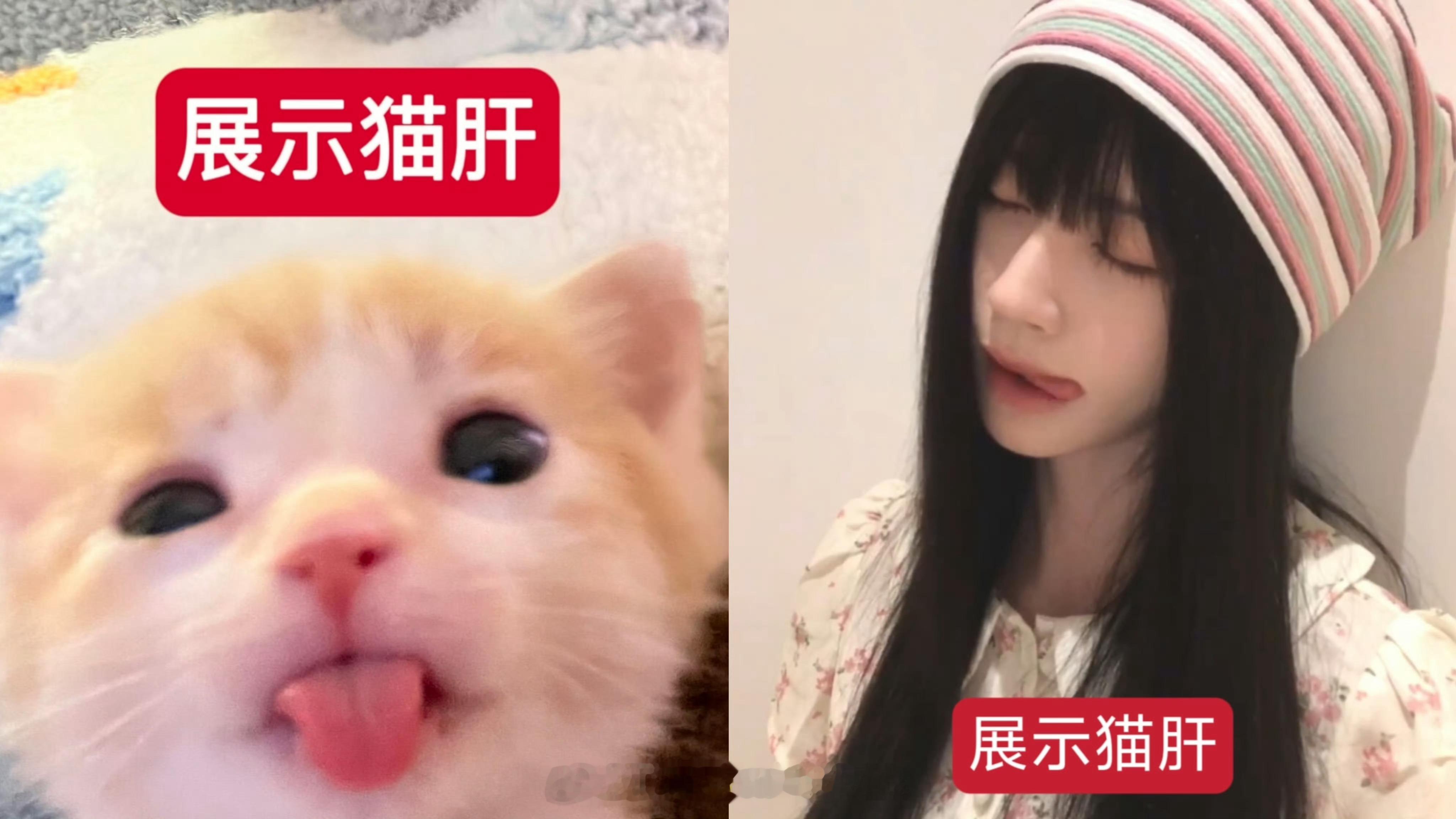 橘国动物塑之战拔旗 ！🍎168    猫塑追加10票   猫塑必胜！！ 鞠婧祎