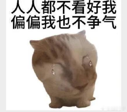 今天争取发挥一下 ​​​