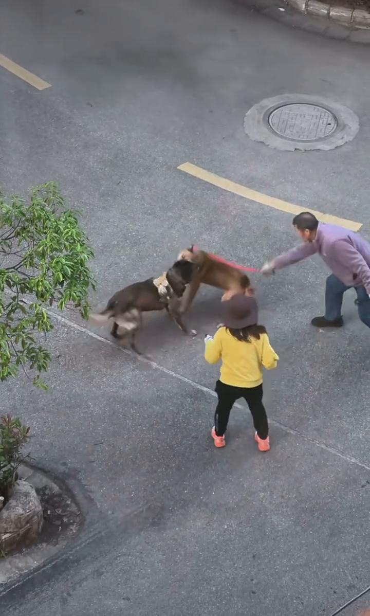 不开。