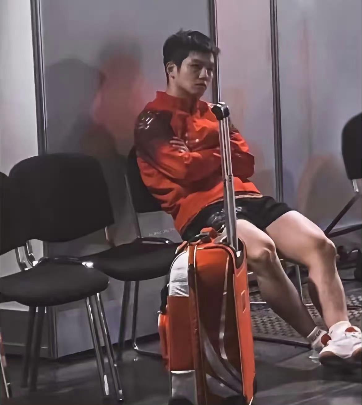 别随便给樊振东贴标签 他的坚守没人能懂
 
总有人轻易就给樊振东乱扣帽子
随口就