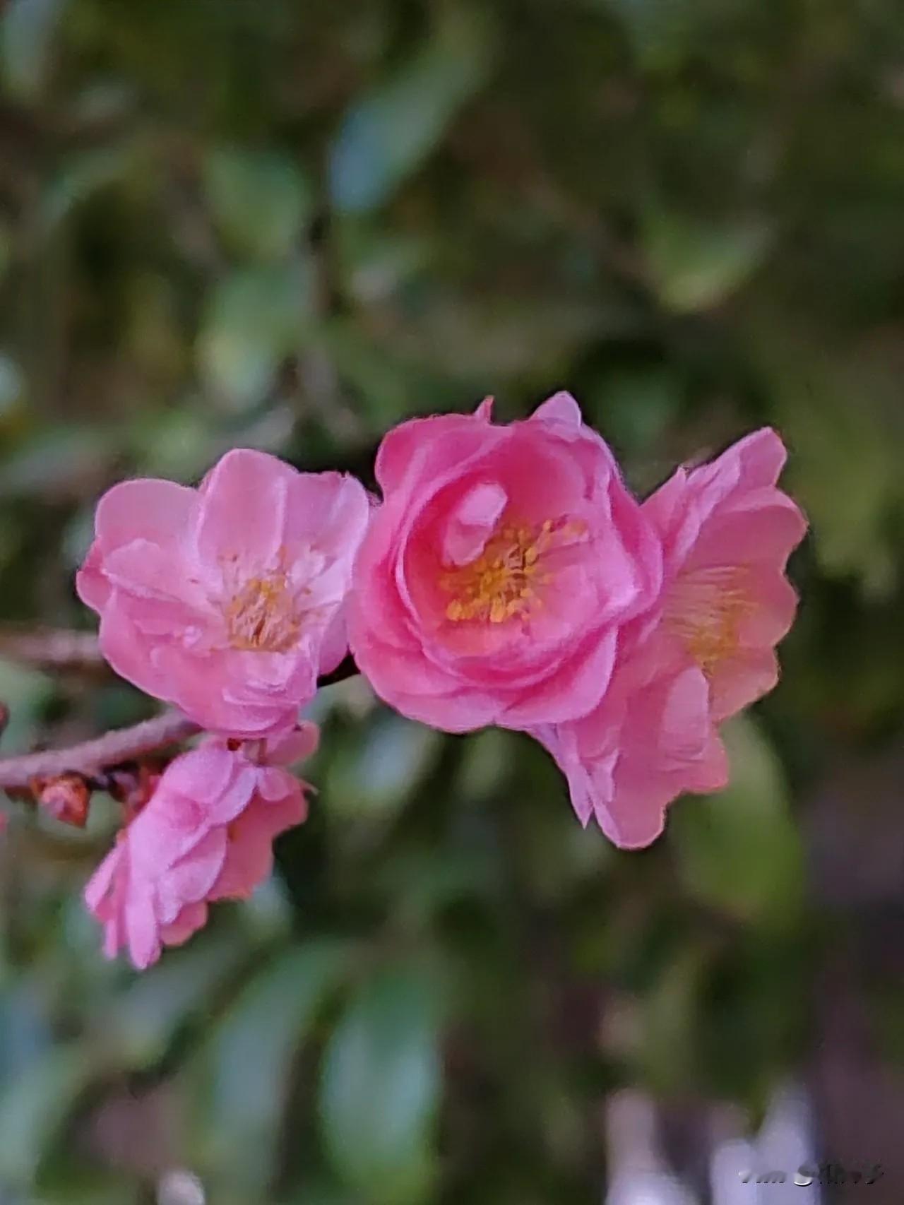 湖边树林。夜。

陈  
走哪边？
铃  
这边。

陈  
还是走这边吧。前面