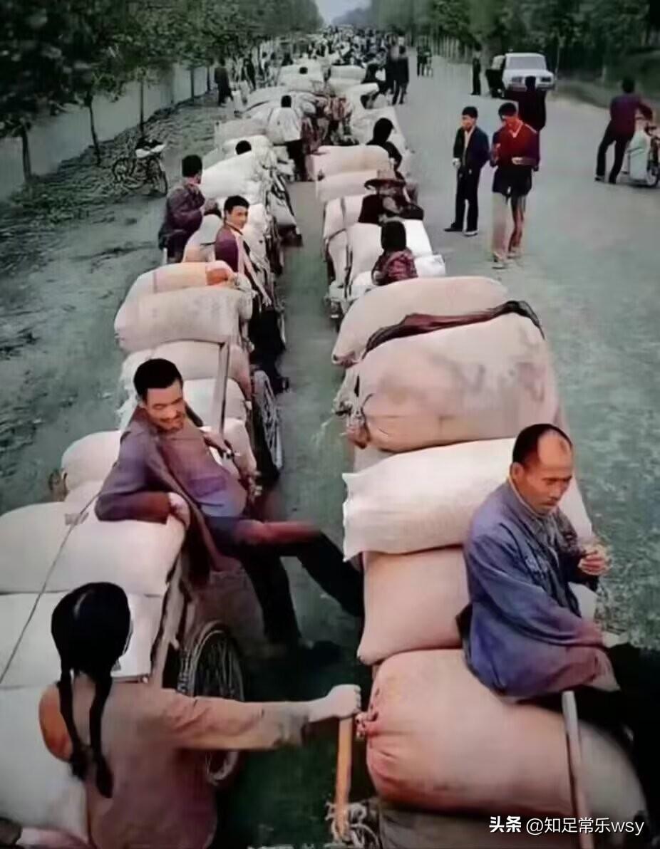 作为一名70后，我时常怀念往昔“七站八所”的时光。
那时有农机站、粮站、广播站、