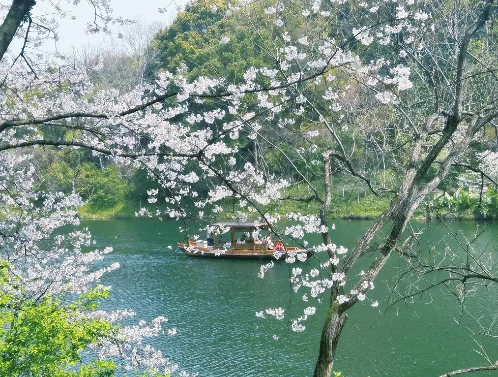 这才是圆滑的人情世故：

1、和生人一起选择吹牛最好
2、和熟人一起选择哭穷比较