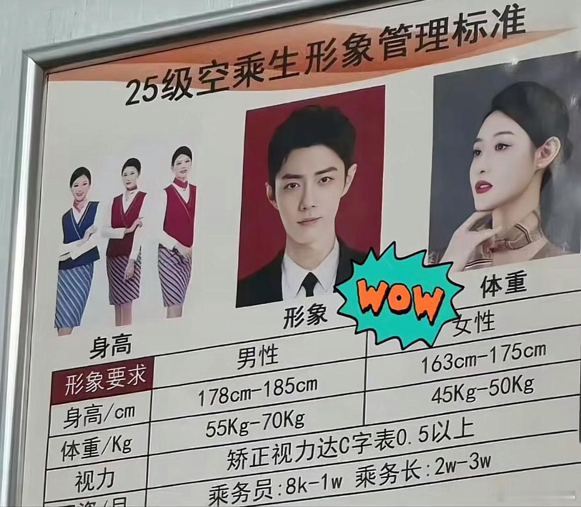 现在空乘生的形象要求都这么高了啊？！想找到像肖战那种形象的人也太难了[摊手] ​