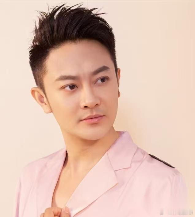 要说娱乐圈中 有演技的男演员不少 但这个男演员，真的是让人觉得太可惜了 他就是印