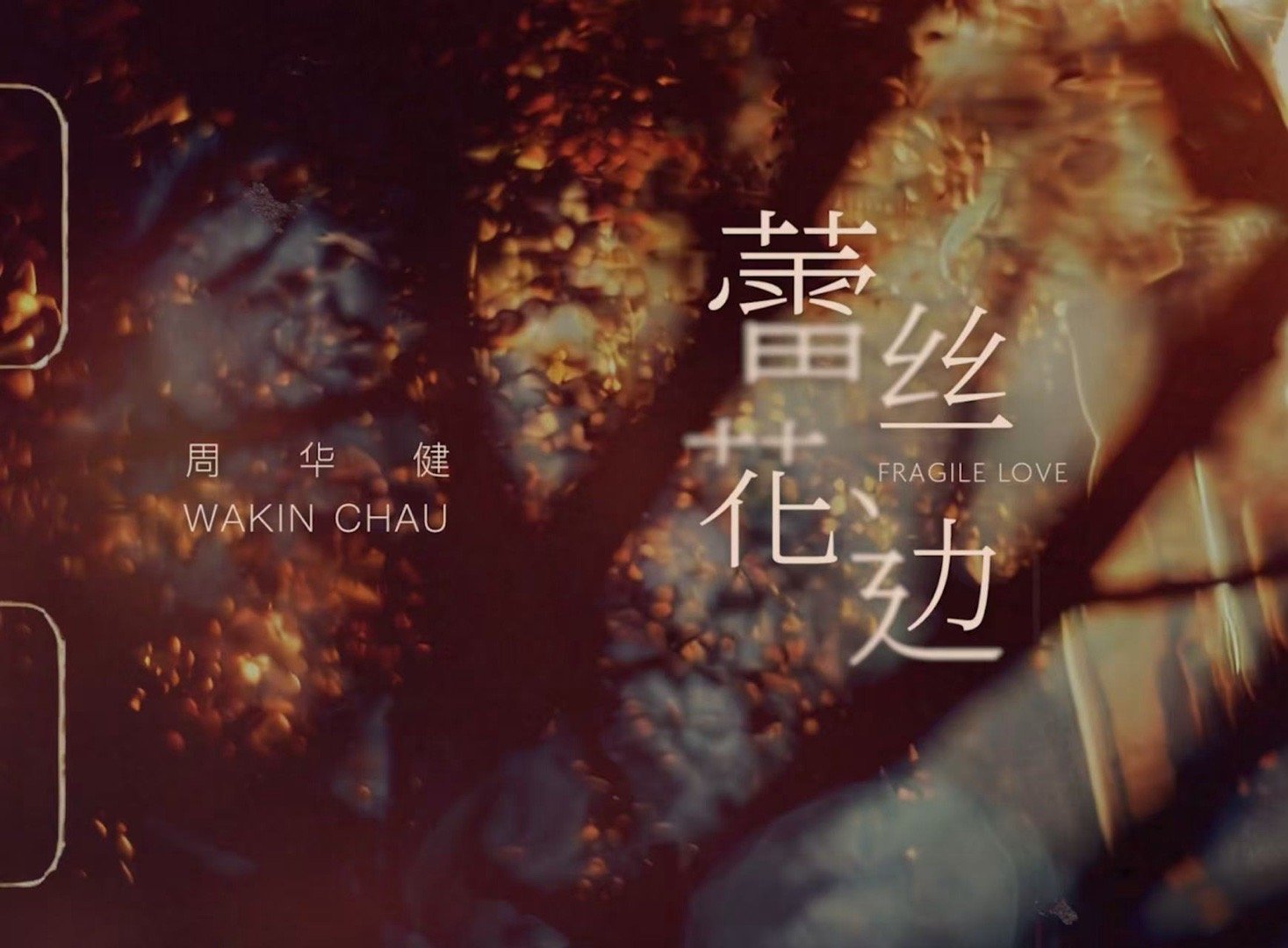 周华健嗓音自带岁月柔光 周华健以新歌《蕾丝花边》，再次展现他嗓音的独特魅力。那声