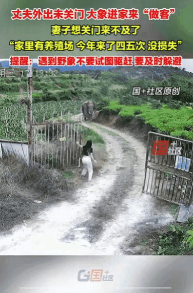 泪目！云南某地一名丈夫出门办事忘了关院门，妻子抱着孩子在屋里，听见院子里的狗连续