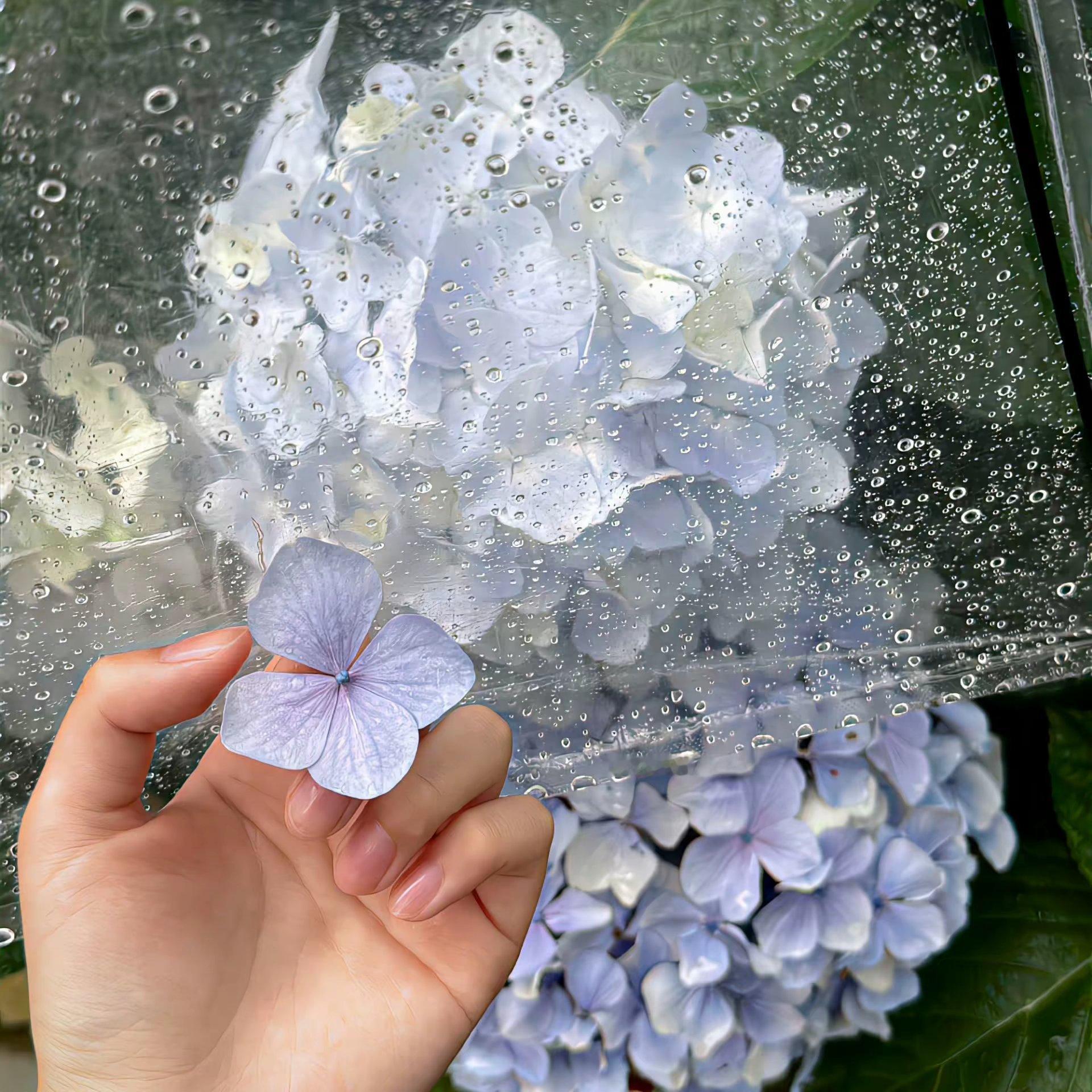 雨天感朋友圈背景图推荐☔💧✲°⋆꒰๑̮๑꒱⋆°✲朋友圈背景图背景图
