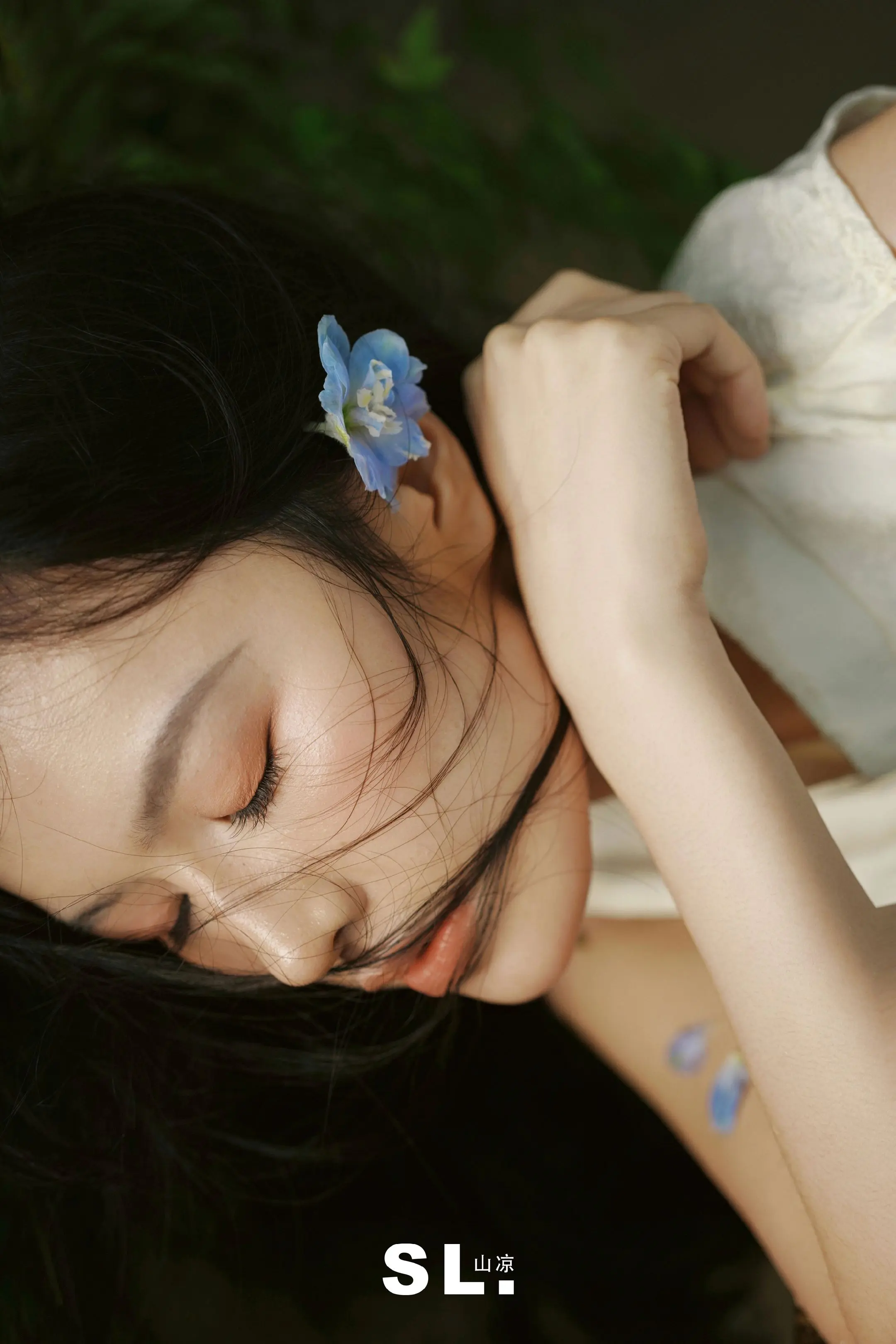 我眼里的她|客片分享。