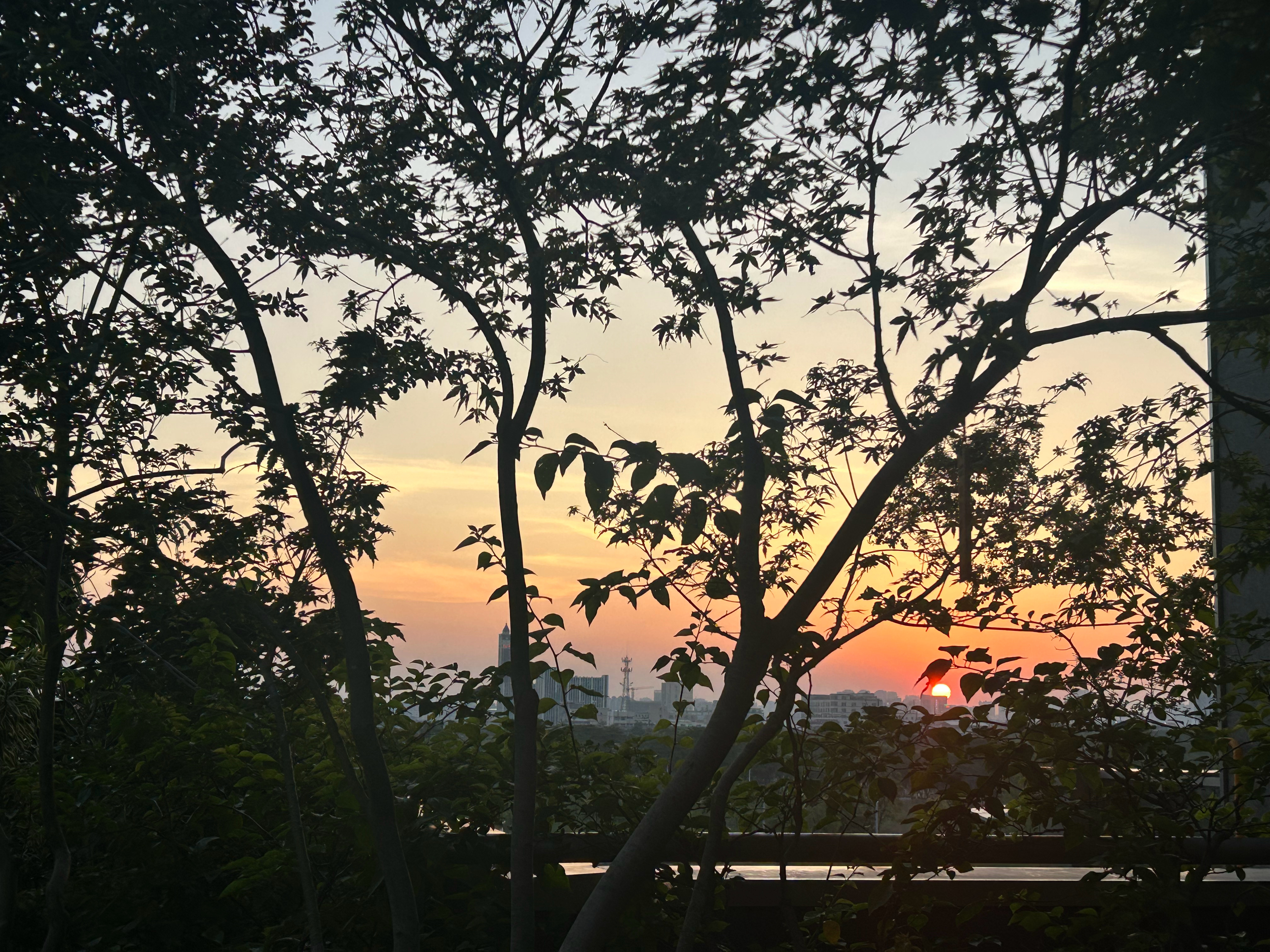 🌄 佛山