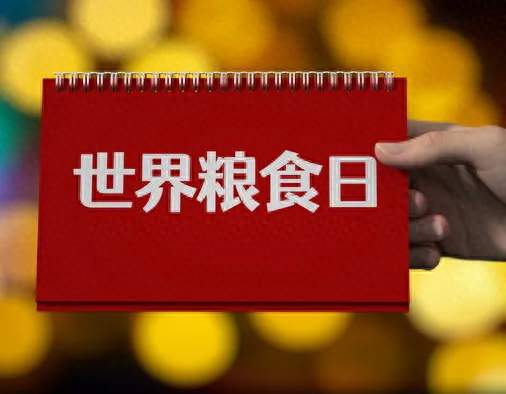 第46个世界粮食日，读懂全谷物：节粮减损，好好吃饭守护大国粮仓
