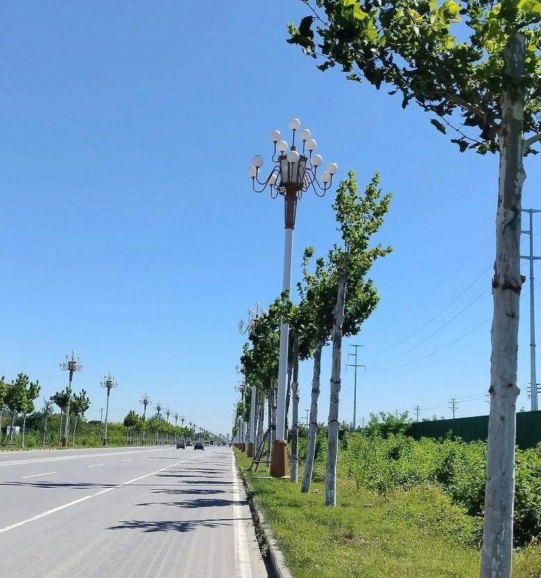 就剩不到24小时了，班主任和副班主任双双“大换血”，换你你家娃能不崩溃吗？
昨晚