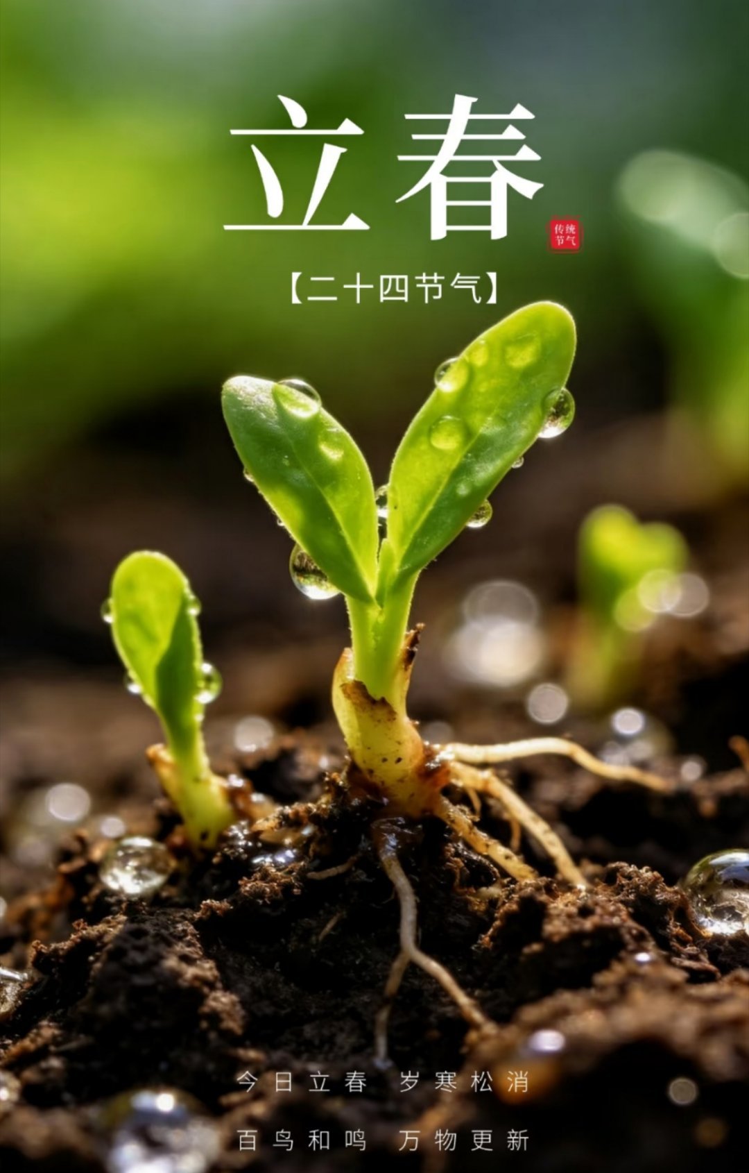 春归大地，暖意渐浓。 愿我们岁岁皆安，日日欢喜～🌱𝗛𝗮𝗽𝗽𝘆立春🌱
