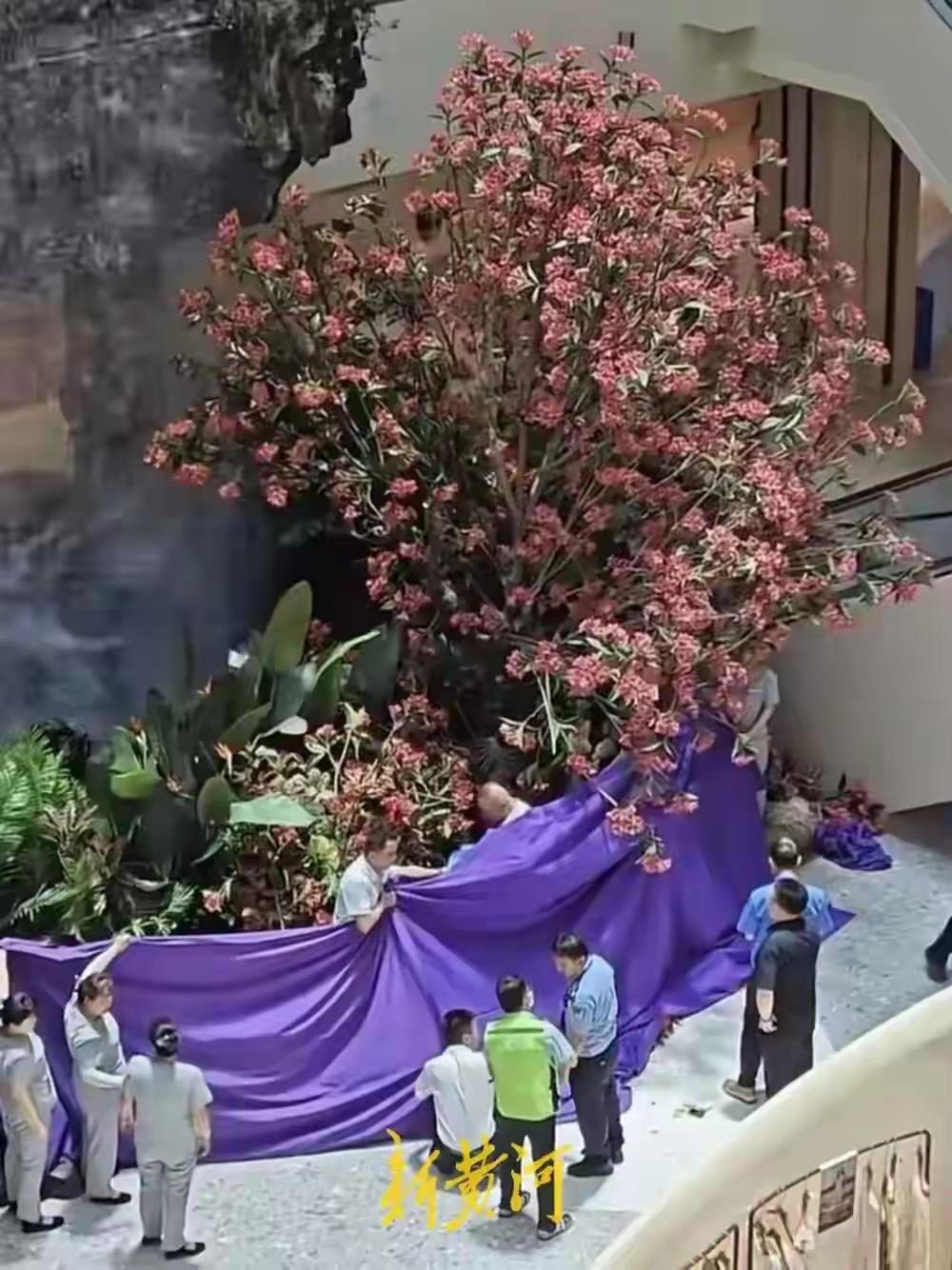 西安赛格商户坠亡事件：一纸不公账，逼死半生良善人
 
曾经客流爆满、稳居西安商圈
