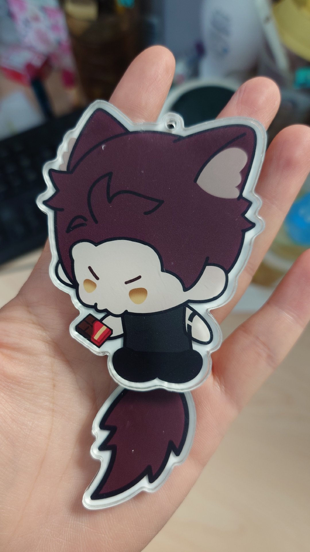 笑死，好大一只猪咪
