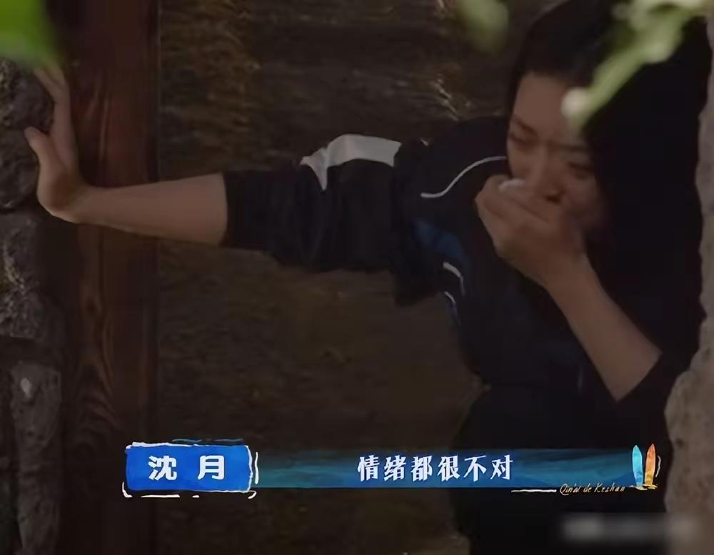 沈月是平台太女，cp热搜买到飞起，cp营销矩阵铺天盖地，自己不努力，身材都管理不