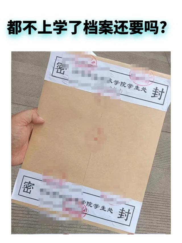 都不上学了档案还要吗?🤳