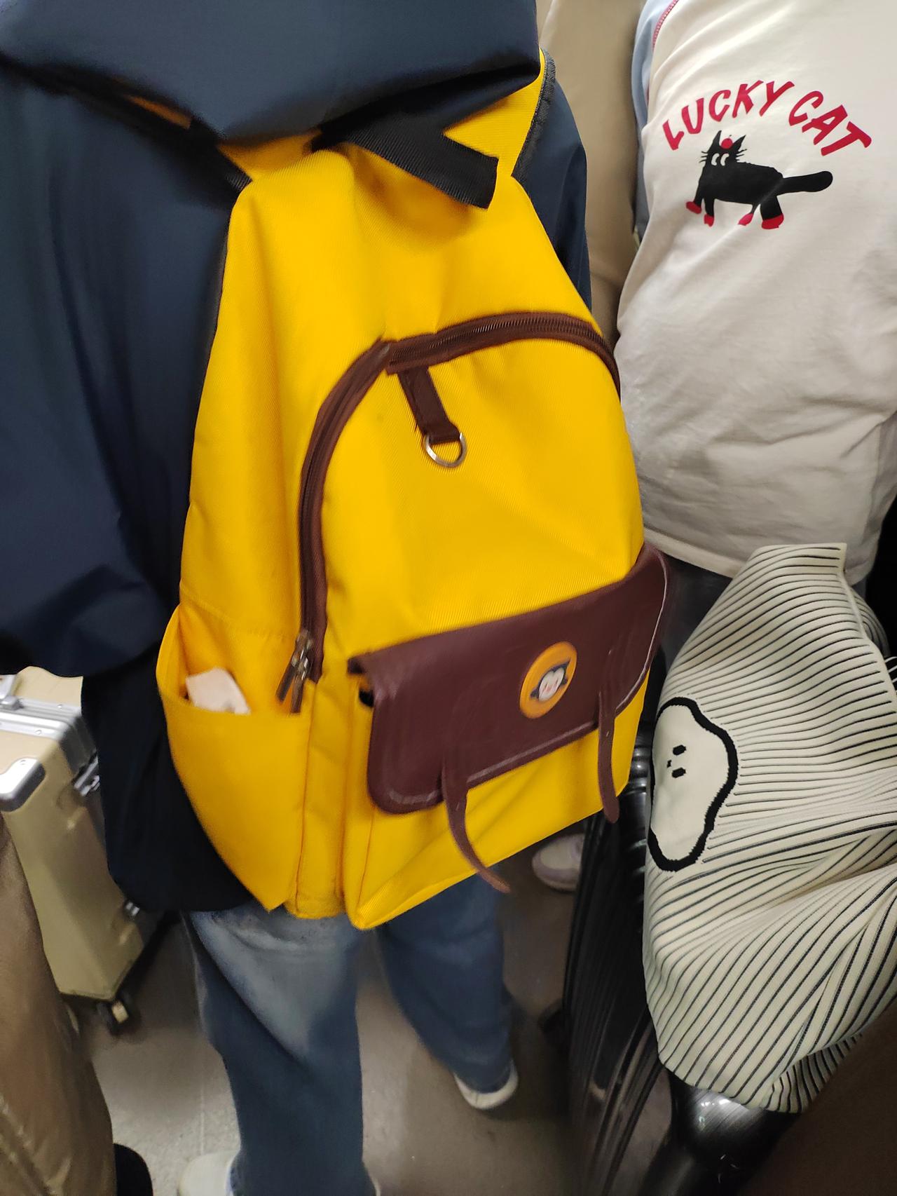 今天是星期四，地铁里好多带行李箱的人。是家长带放春假的孩子来玩，还是清明节假期串