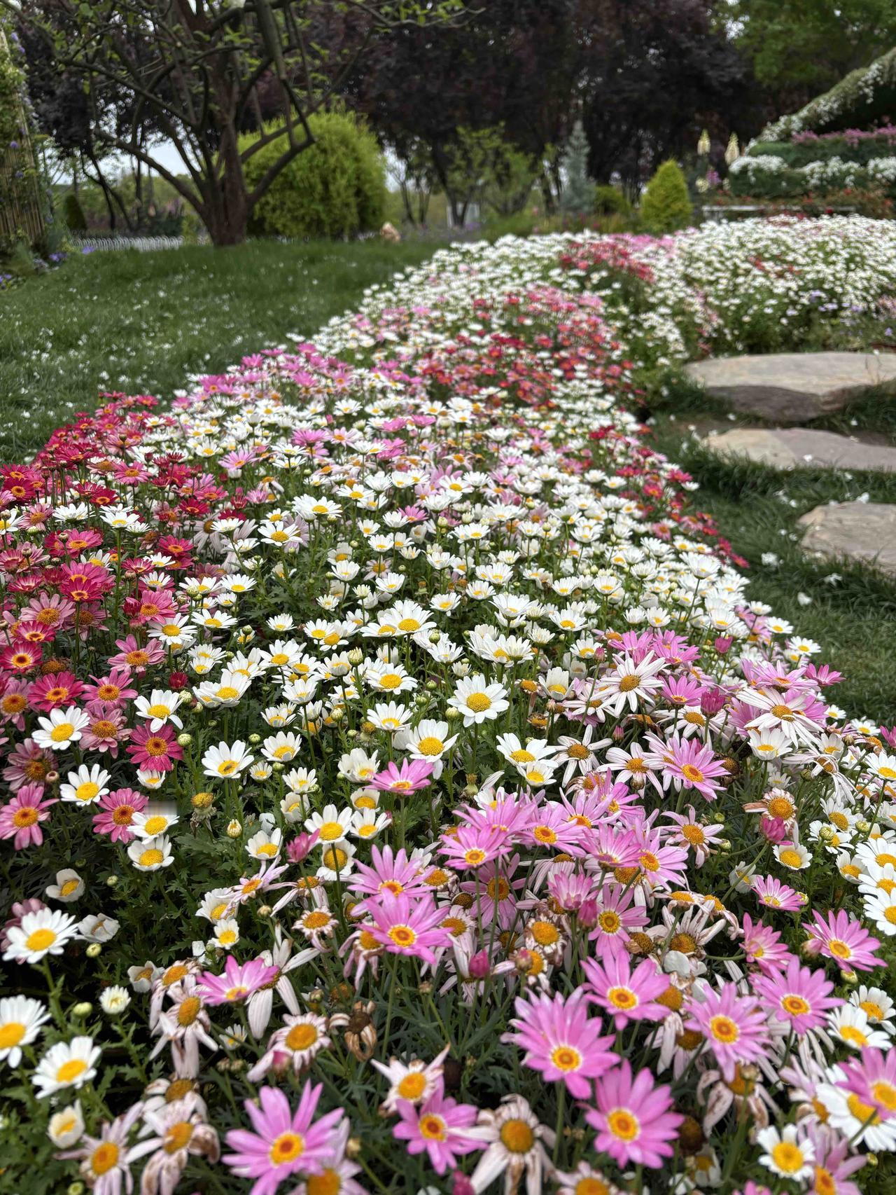 大家别信，我替你们探过路了，“烟花三月下扬州”是骗人的！扬州的三月，是没有多少花