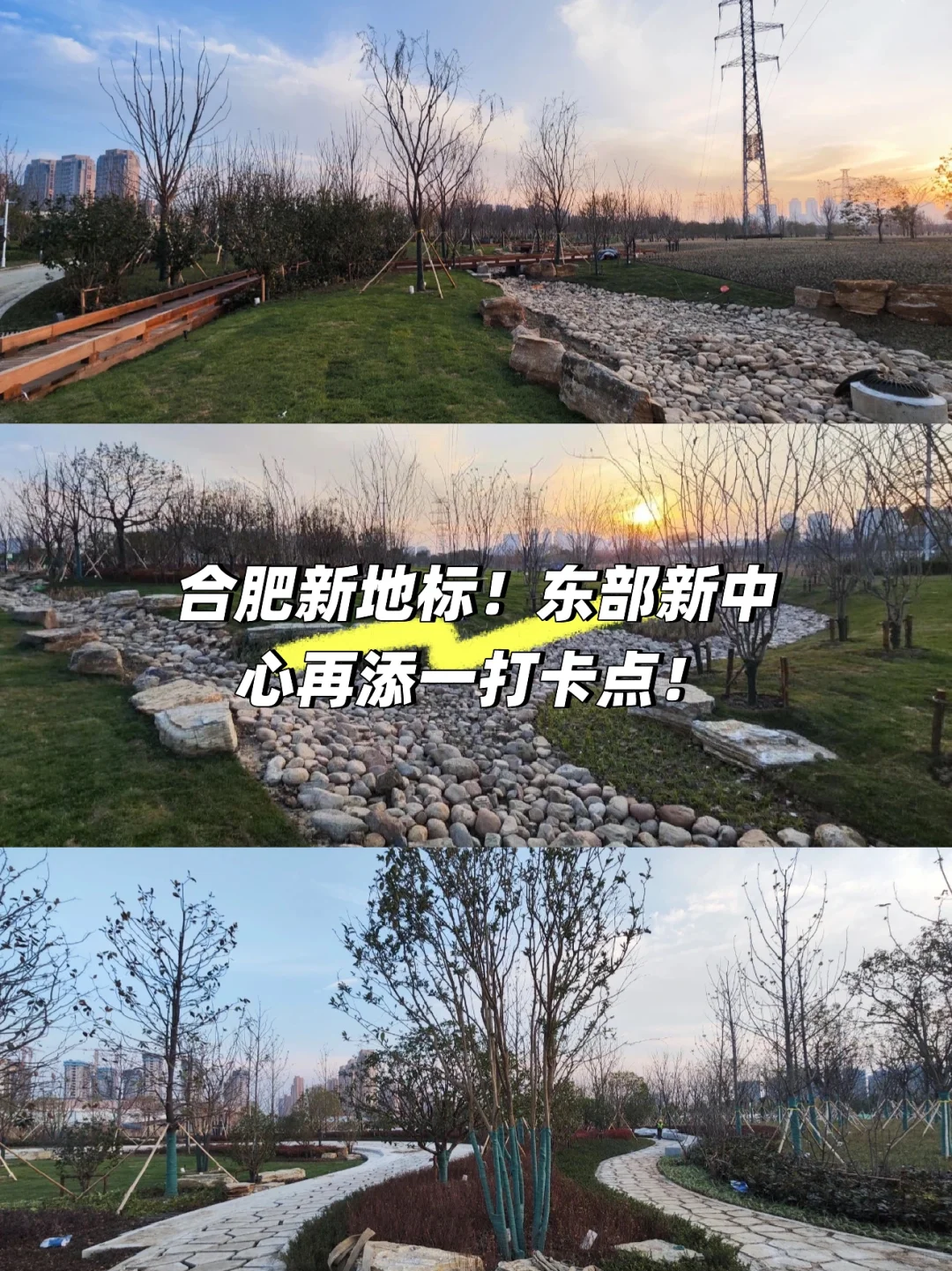 合肥新地标！东部新中心再添一打卡点！