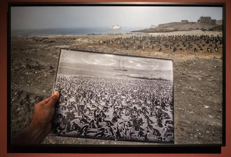 日本首相高市早苗发表涉台挑衅言论，真是嚣张又无知。日本在琉球问题上本就有笔“历史
