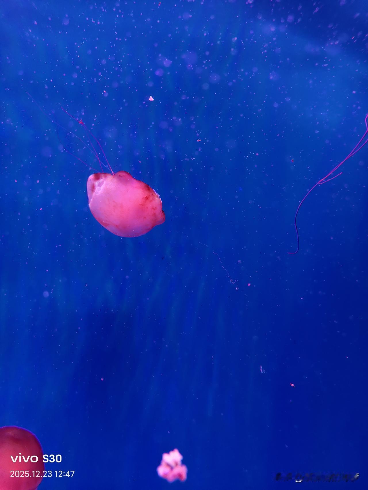 冬日生活打卡季