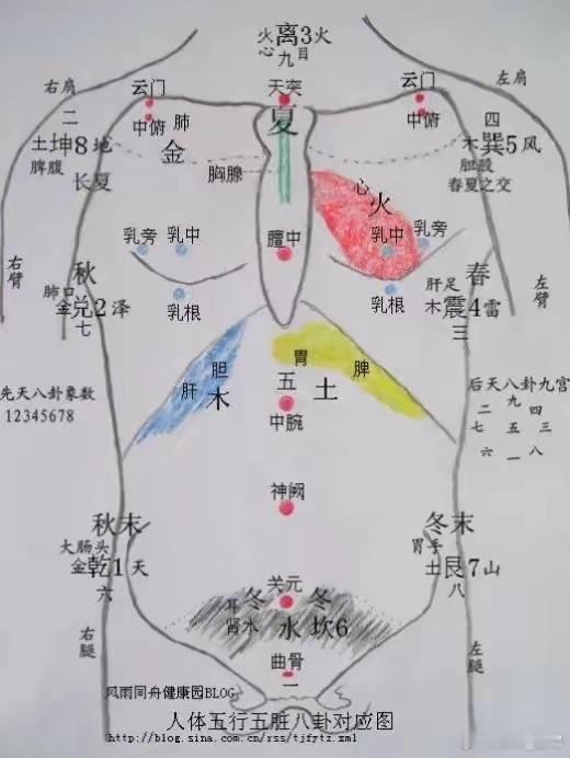 气的升降出入运动如何促进人体的水液代谢？气的升降出入运动在促进人体水液代谢方面发