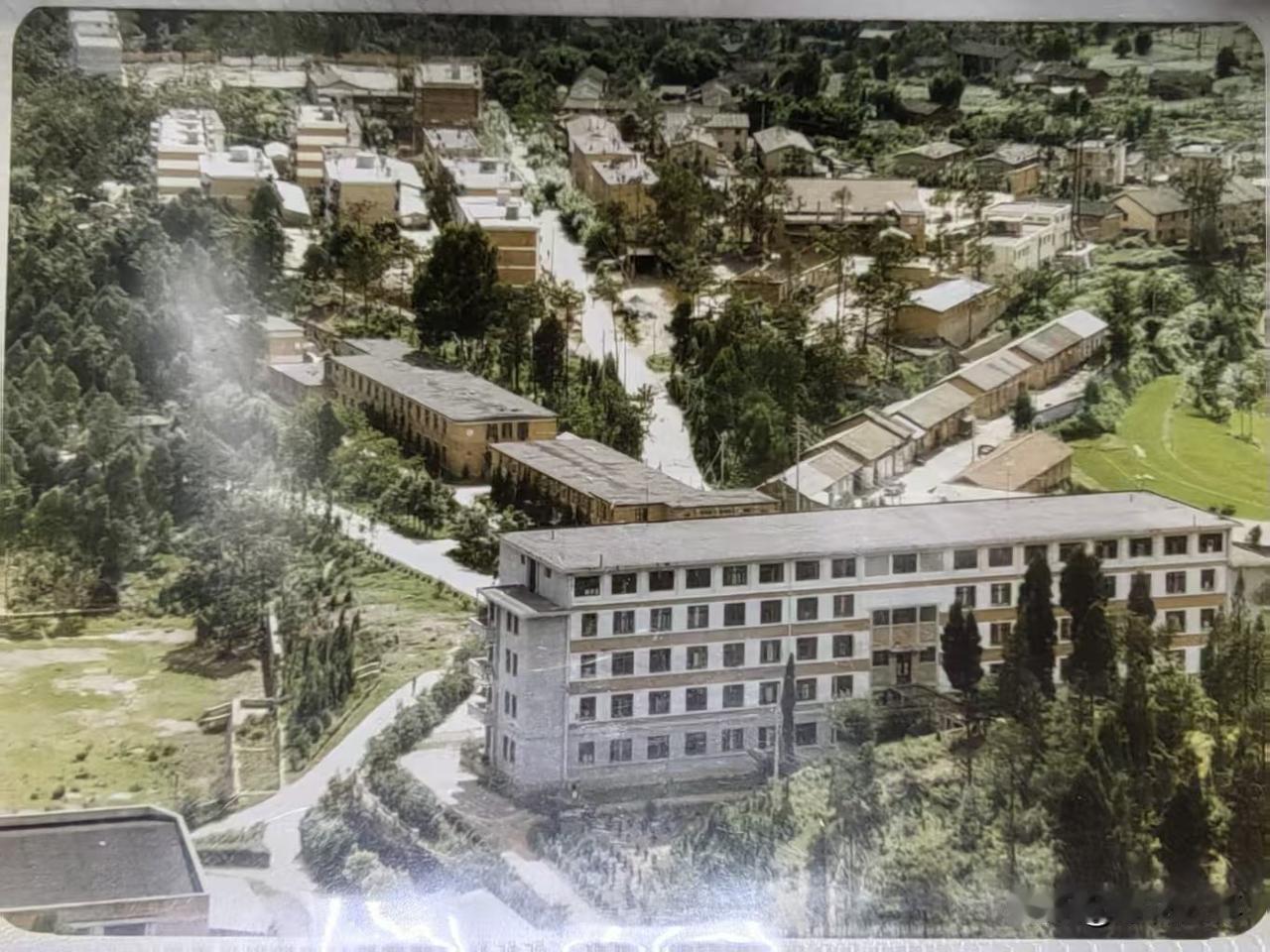 正经和尚不算命


前几天去省医院，抽空去附近的青羊宫逛了逛，走到里处，有小道士