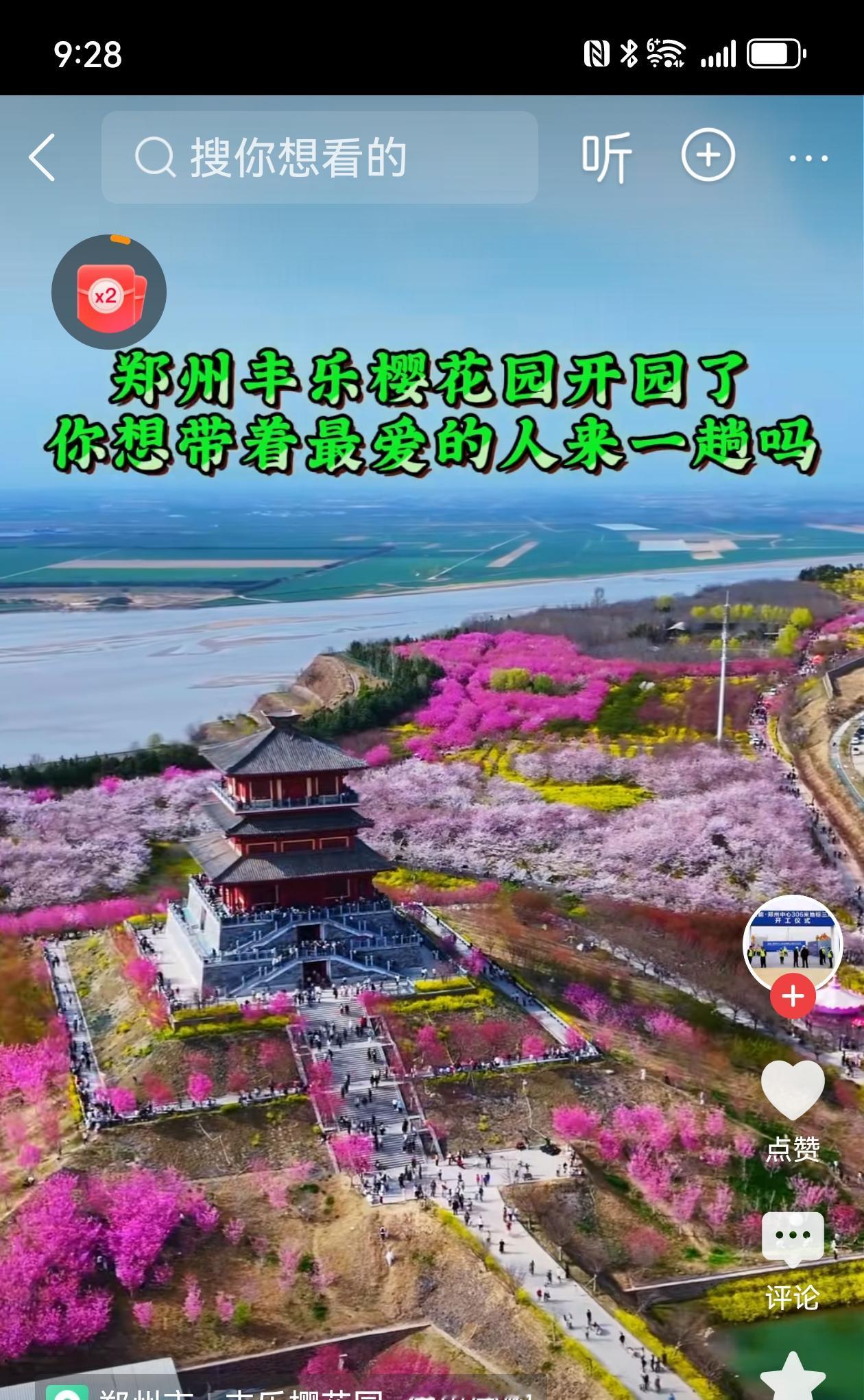 千里黄河东逝去，万朵樱花含春来！郑州丰乐樱花园，这里可是专门赏樱花的地方！花崖北