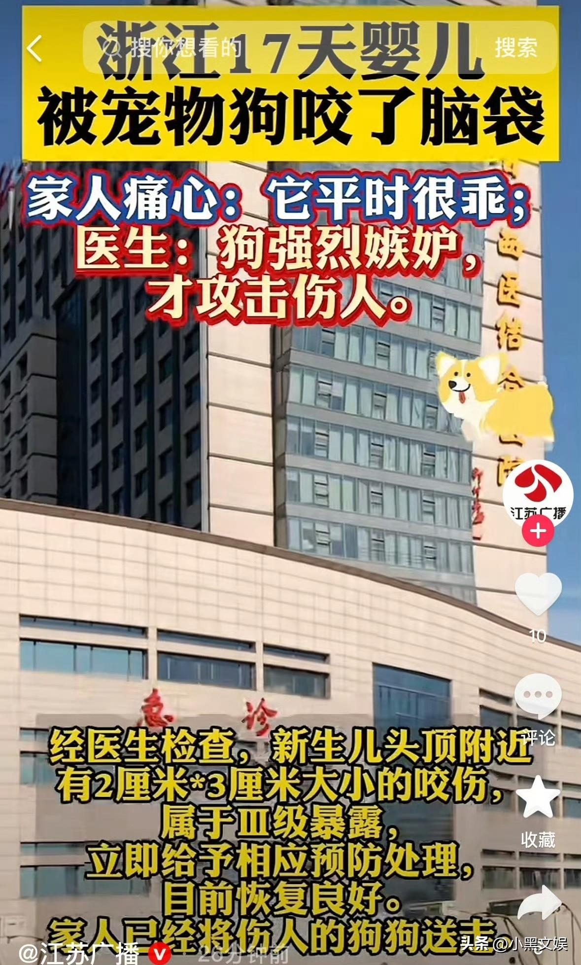 新生儿被自家宠物狗咬到脑袋，家属表示它平时很乖的，而且已经到家里好几年了，不应该
