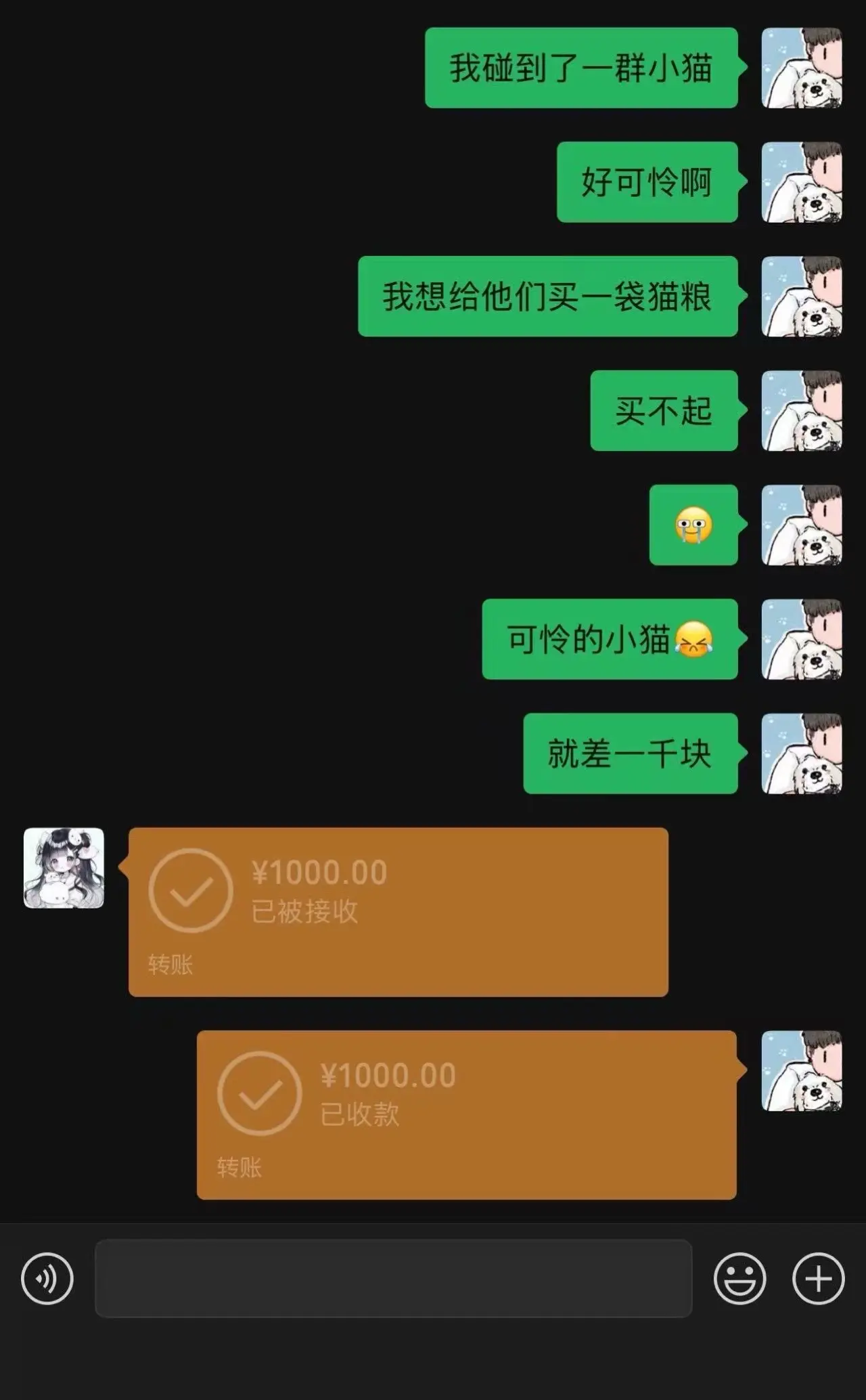 谁不是个小猫呢