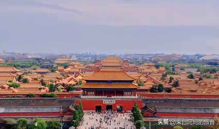 1420年，一个四川的伐木工把一根金丝楠木推入金沙江。他绝不会想到，这木头要在江