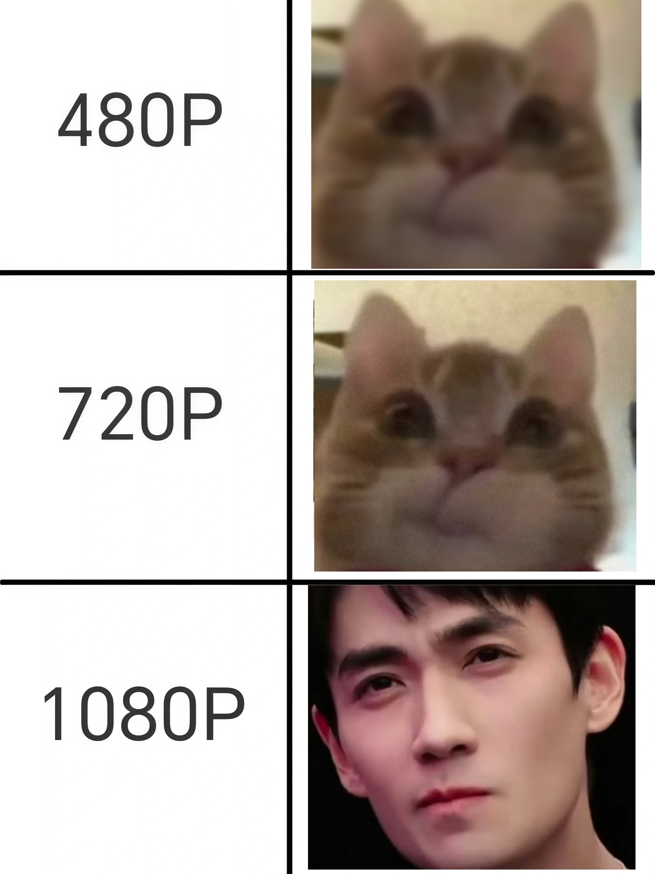高清小猪朱一龙