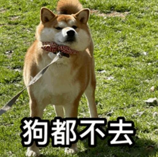 一个印度，一个日本，两个狗都不去的国家，呸印度对中国人签证门槛还是太高 ​​​