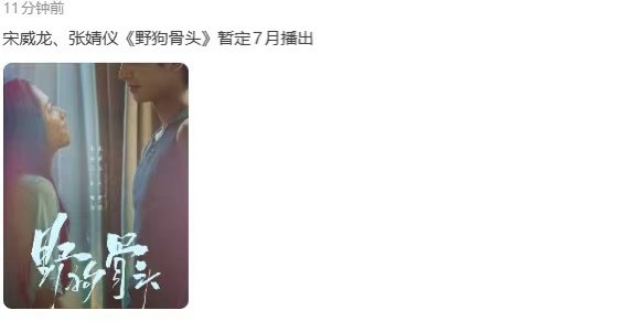 宋威龙张婧仪野狗骨头暂定26年7月播出野狗骨头26年7月播出 宋威龙、张婧仪《野