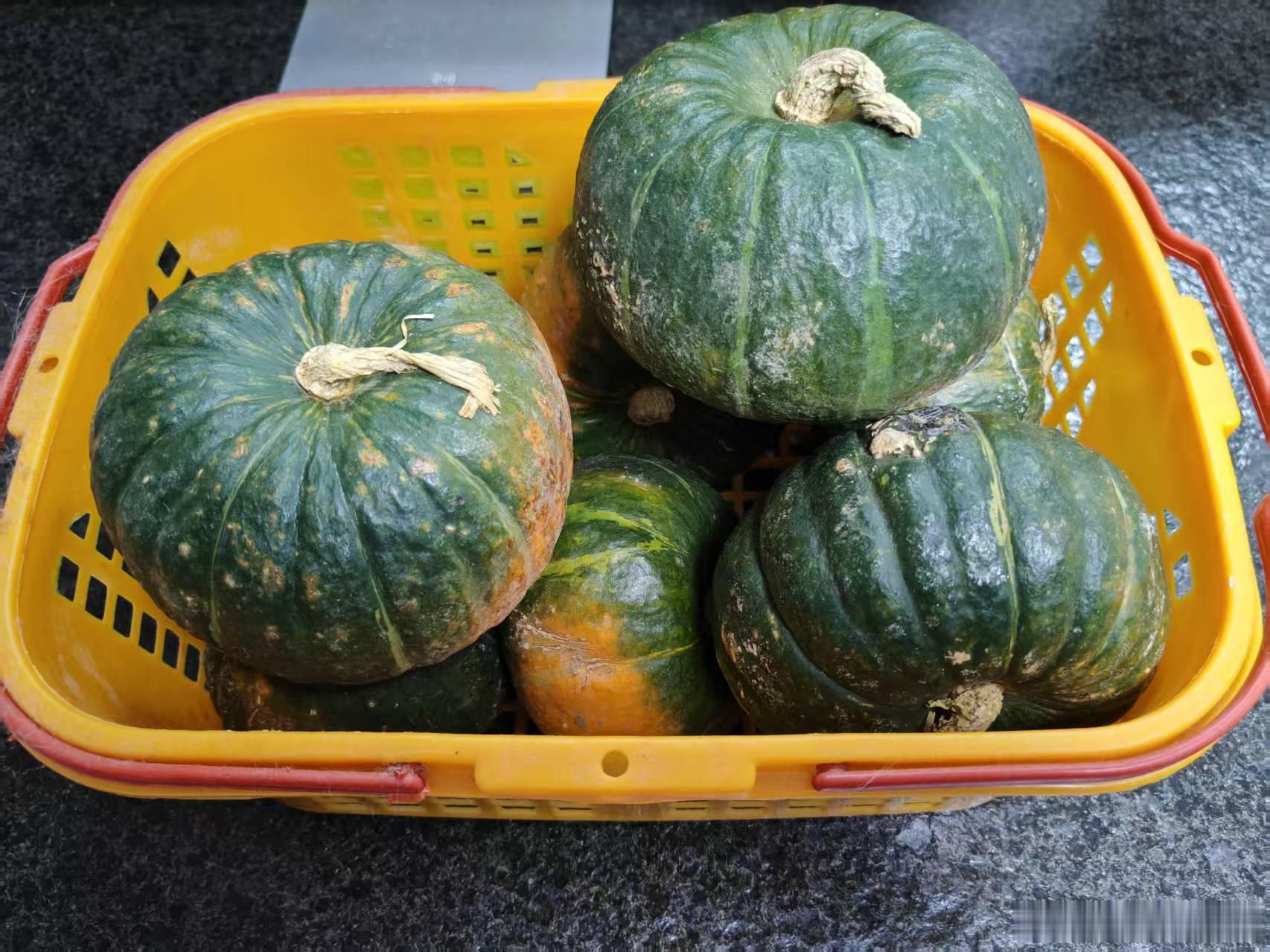 昨天从老妈家拿了一堆小南瓜，比江哥买的好吃多了。（毛哥） ​​​