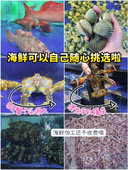 三亚海鲜餐厅！你还有什么惊喜是我不知道的