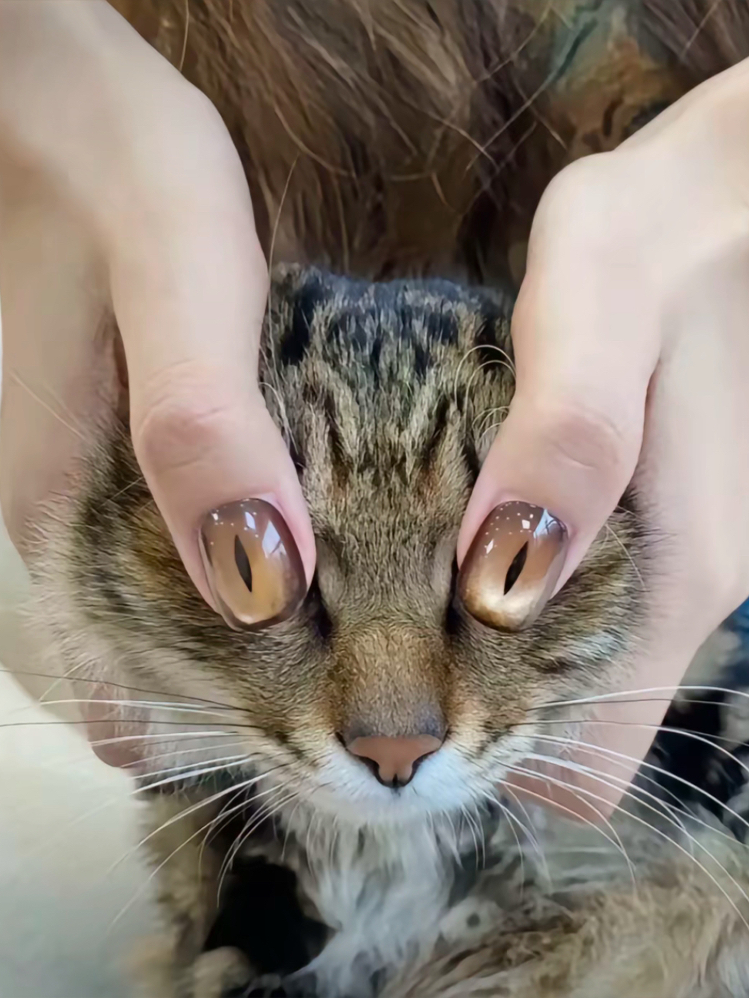 不敢睁开眼希望是我的幻觉