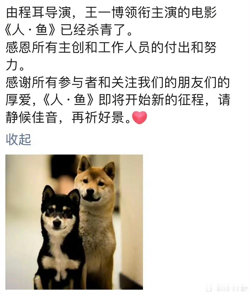 王一博《人鱼》制片人发文《人鱼》杀青了，那今天造谣没开机的是不是可以告，博子哥无
