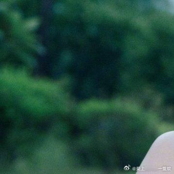 #秦岚成家# 姐姐早安 [兔子][兔子]今天有早戲嗎？[抱一抱][抱一抱]辛苦啦