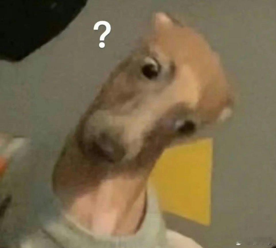 曝杨玏王玉雯有一个豪宅造谣成本如此低了吗？雯姐从未官宣恋情，少关注私生活，请专注