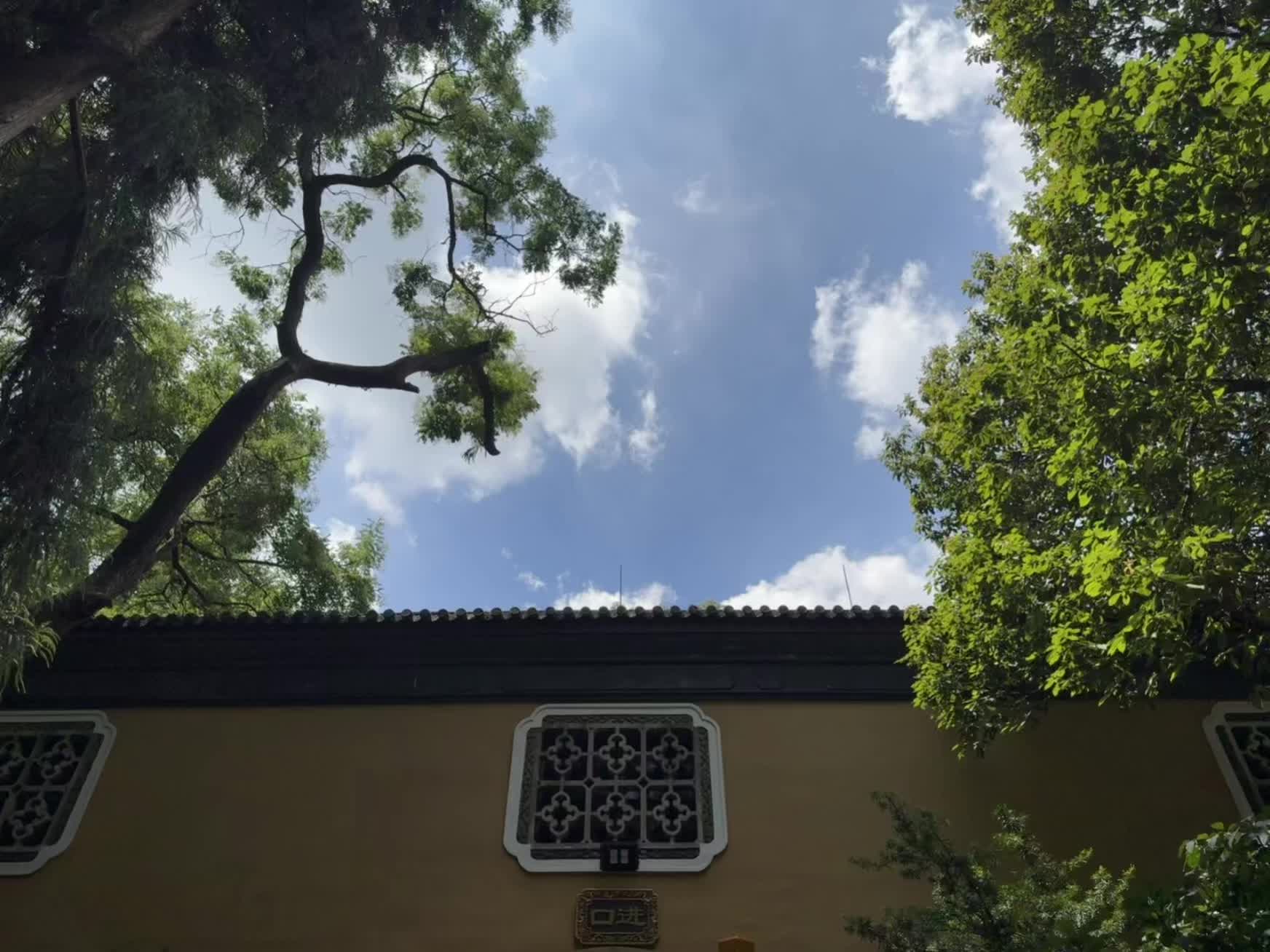 如愿