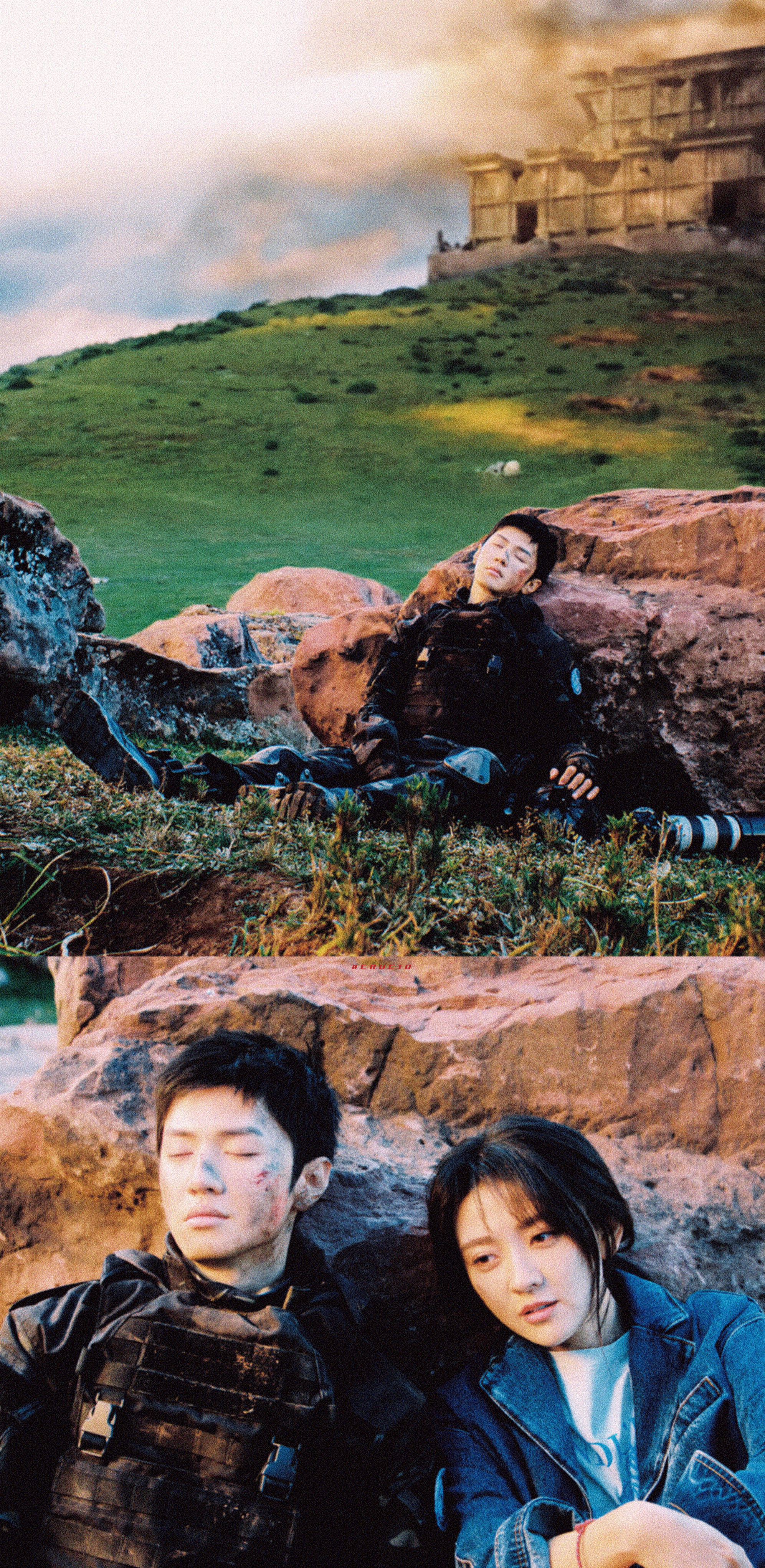 《白色橄榄树》  美酒轻裘，挑灯走马，一生无牵挂。 