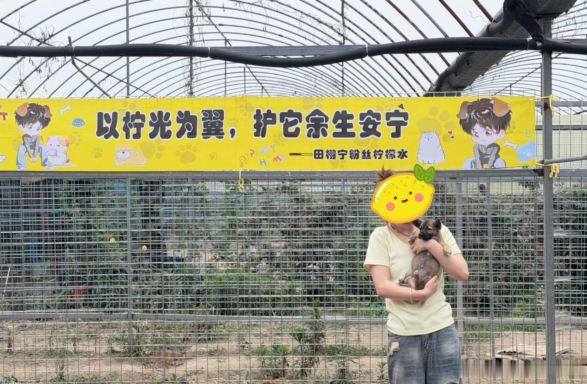 田栩宁粉丝柠檬水居然持续不断的在给流浪动物基地捐赠物资并去做义工，粉丝们的善举真