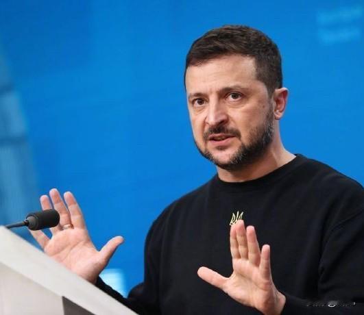最新消息！泽连斯基主动向外界披露，特朗普希望在夏季前结束俄乌冲突。泽连斯基称，美