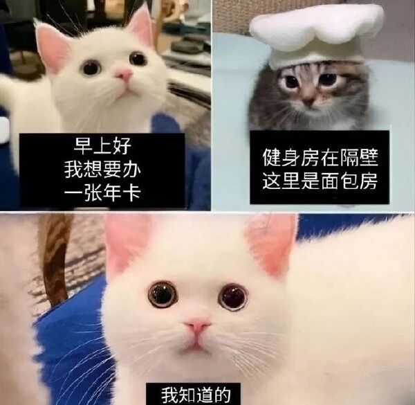 我也想办一张！哈哈哈 