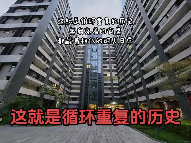 我的图片 ai创作